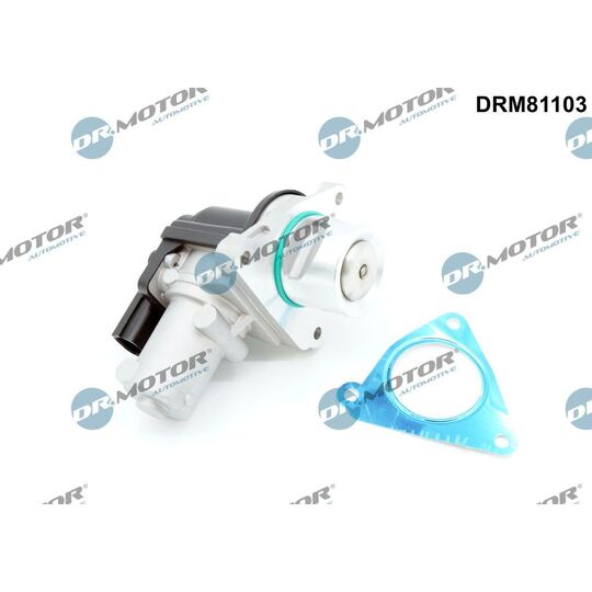 DRM81103 - EGR Valve 