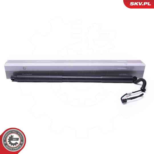 Electric Motor, tailgate