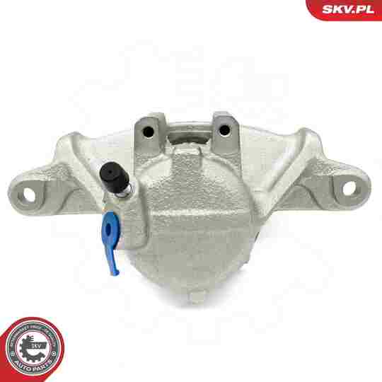 67SKV202 - Brake Caliper 