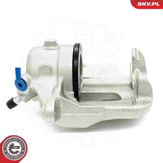 67SKV202 - Brake Caliper 