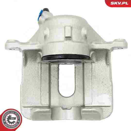 67SKV202 - Brake Caliper 