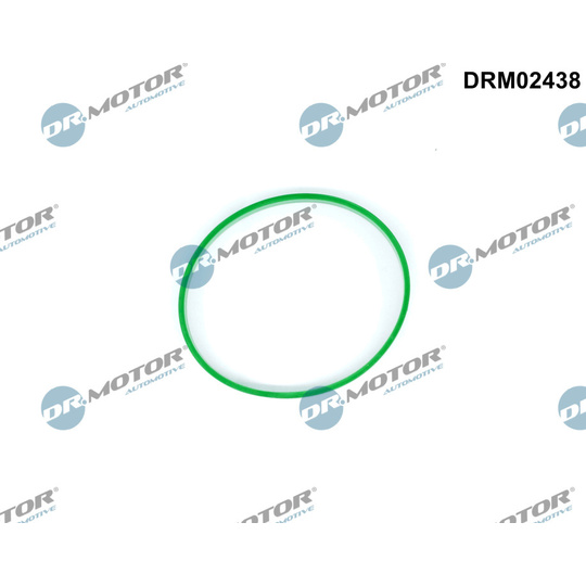 DRM02438 - Seal, throttle body 