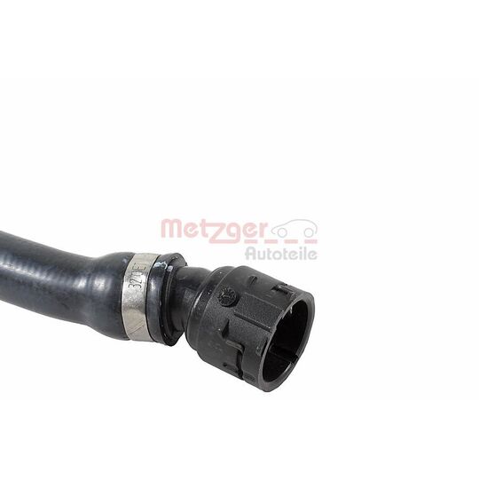 2421845 - Radiator Hose 