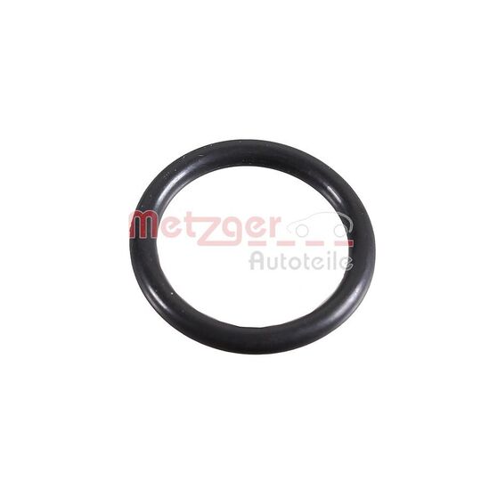 2430041 - Seal Ring 