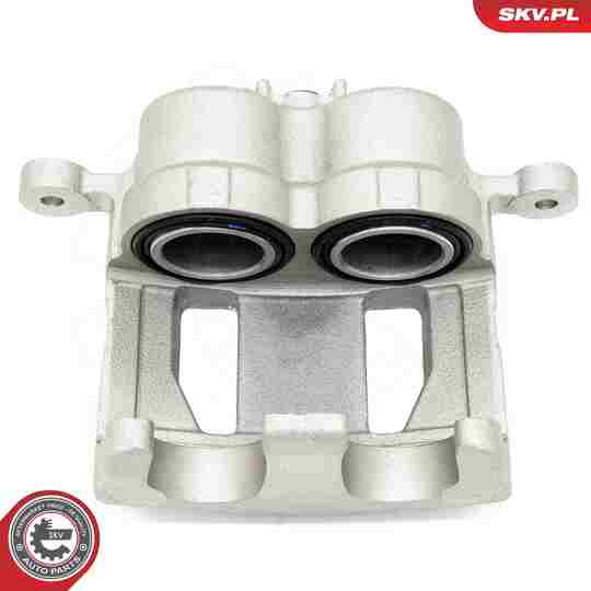 67SKV502 - Brake Caliper 