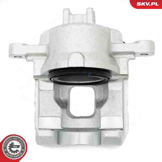 67SKV292 - Brake Caliper 