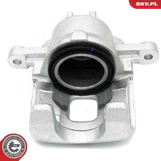 67SKV292 - Brake Caliper 