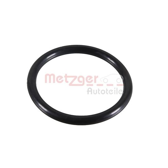 2430119 - Seal Ring 