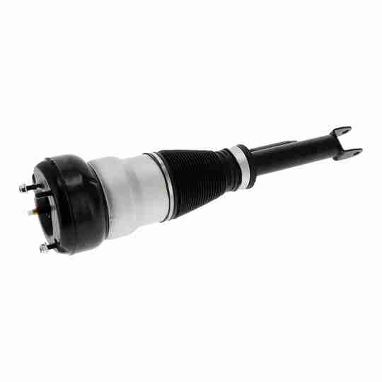 V30-50-0043 - Air Spring Strut 