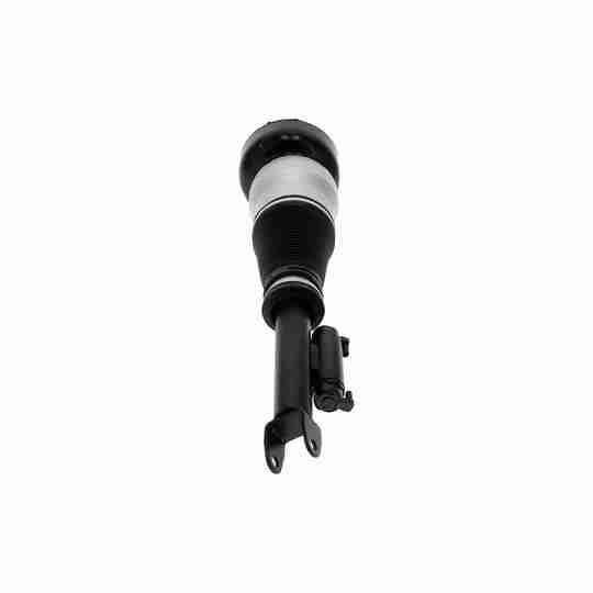 V30-50-0043 - Air Spring Strut 