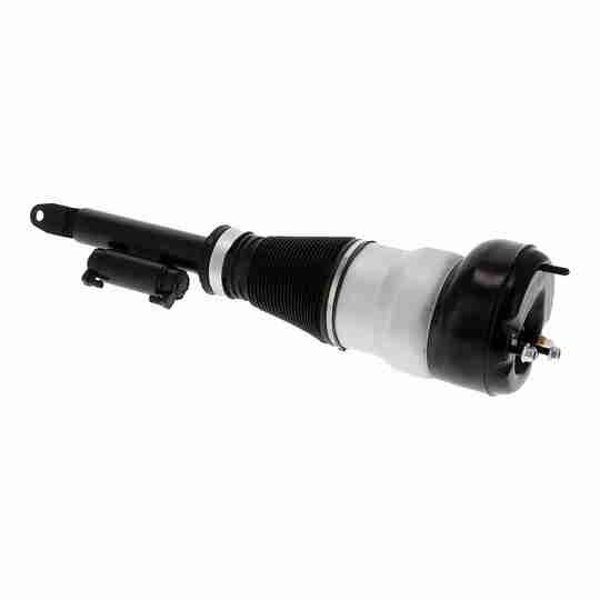 V30-50-0043 - Air Spring Strut 