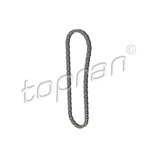 504 239 - Timing Chain 