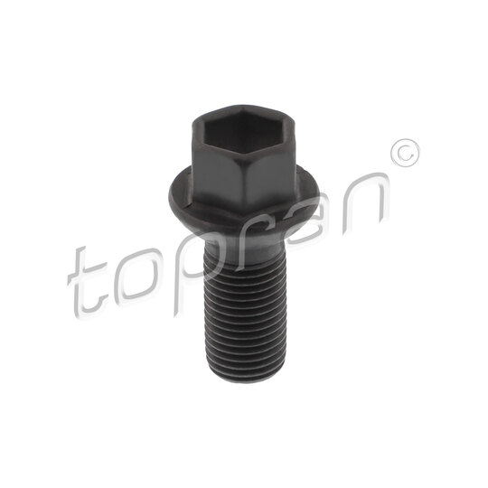 411 099 - Wheel Bolt 