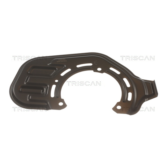 8125 24116 - Splash Panel, brake disc 