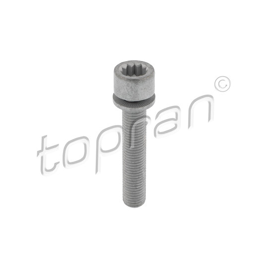 120 991 - Bolt, brake caliper 