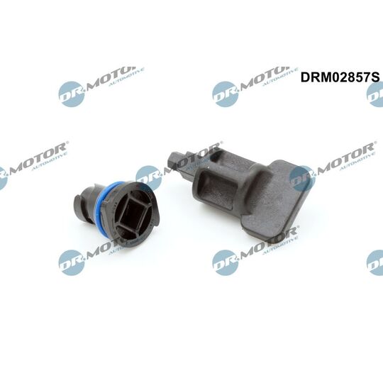 DRM02857S - Sealing Plug, oil sump 