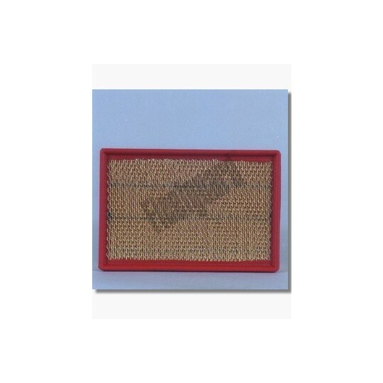 AF4619 - Air Filter 