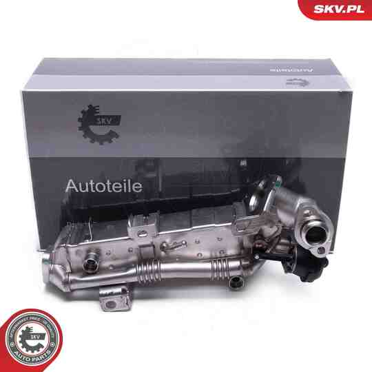 14SKV239 - EGR Valve 