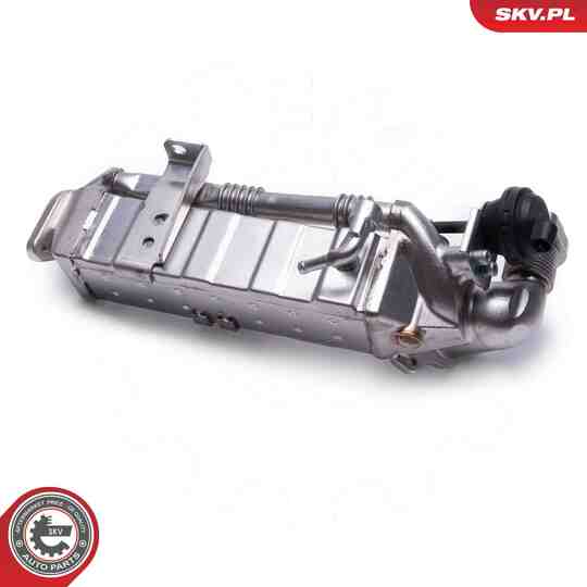 14SKV239 - EGR Valve 