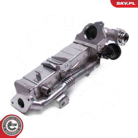 14SKV239 - EGR Valve 