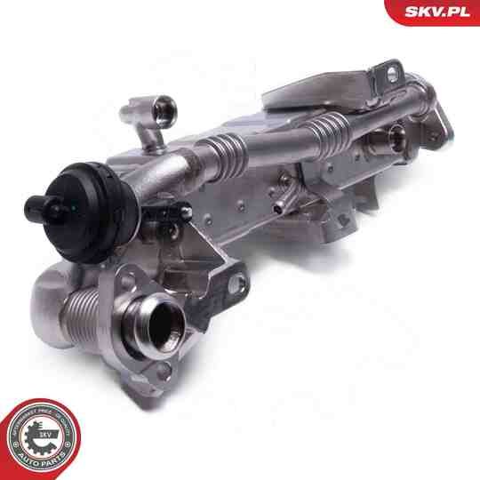 14SKV239 - EGR Valve 