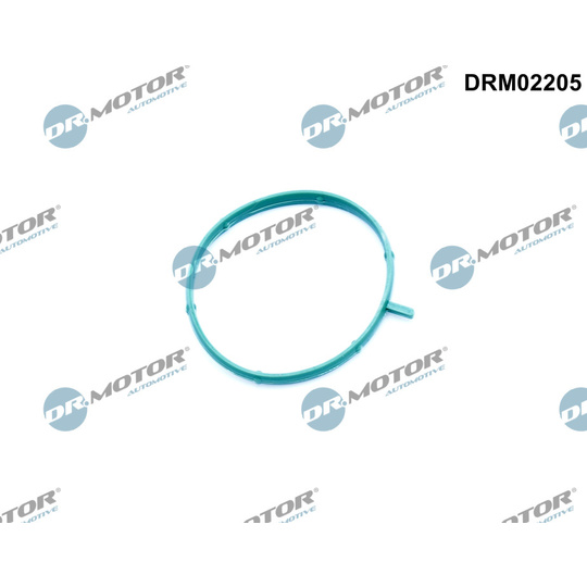 DRM02205 - Packninmg, termostathus 