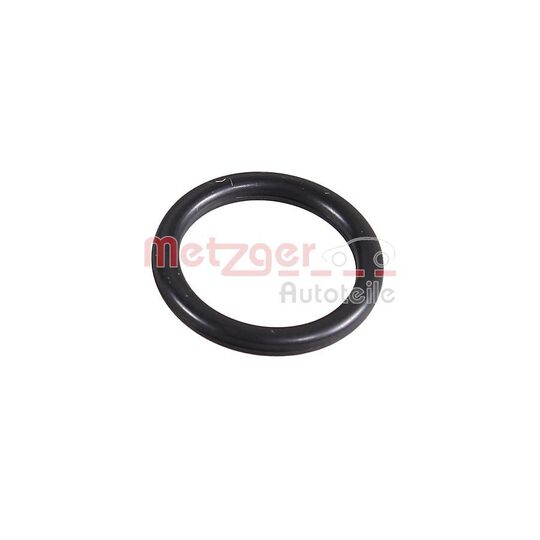 2430094 - Seal Ring 