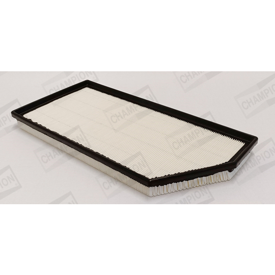 CAF101232P - Air filter 