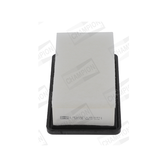 CAF101202P - Air filter 