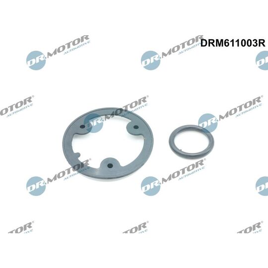 DRM611003R - Gasket Set, oil cooler 