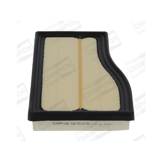 CAF101213P - Air filter 