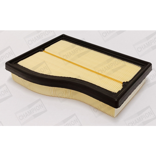 CAF101213P - Air filter 