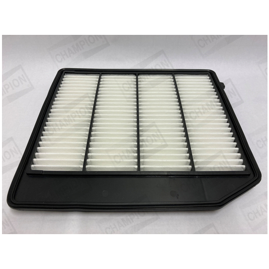 CAF101234P - Air filter 