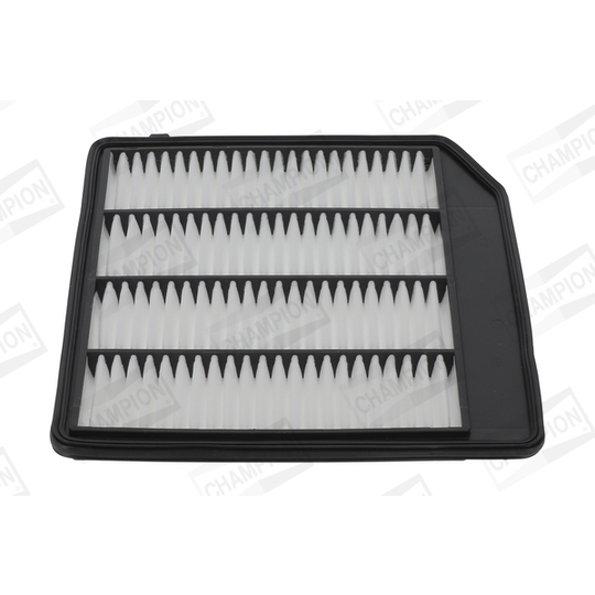 CAF101234P - Air filter 