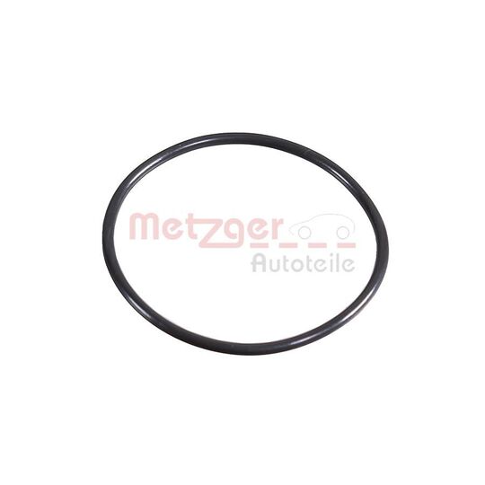 2430058 - Seal Ring 