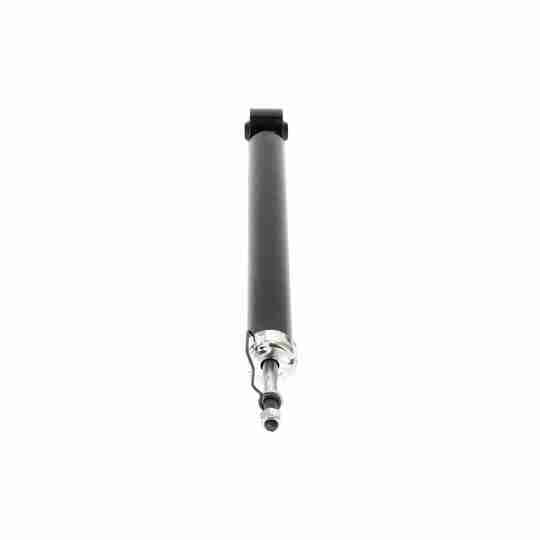 V10-5672 - Shock Absorber 