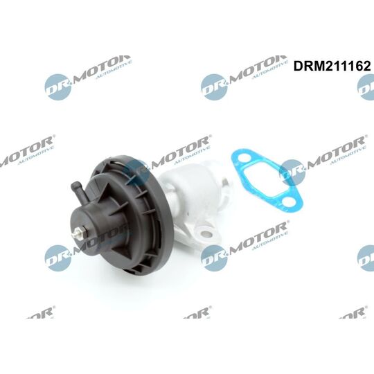 DRM211162 - EGR Valve 