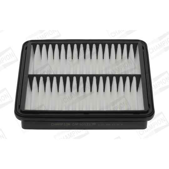 CAF101217P - Air filter 