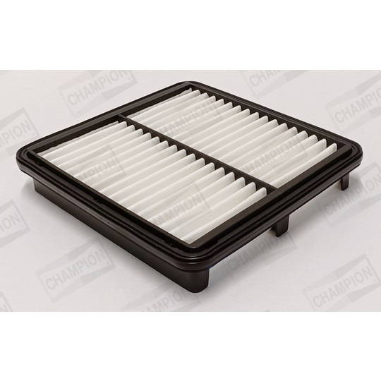 CAF101217P - Air filter 