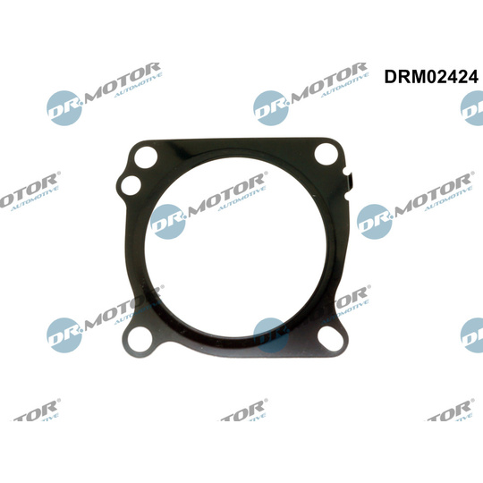 DRM02424 - Seal, throttle body 