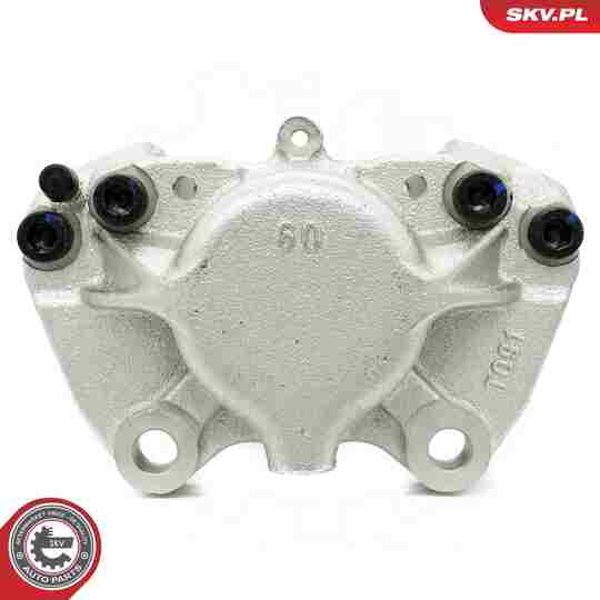 67SKV161 - Brake Caliper 