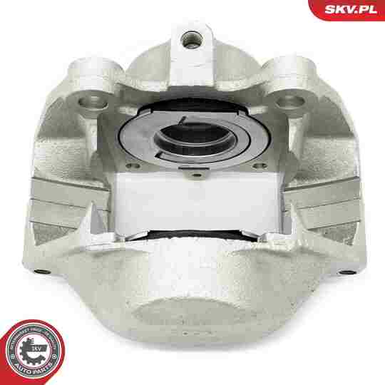 67SKV161 - Brake Caliper 