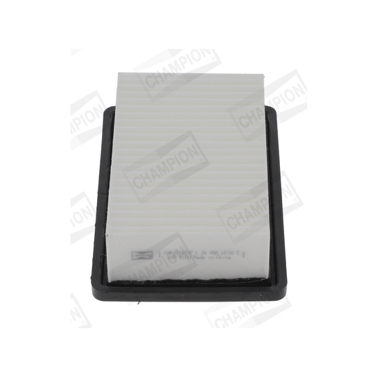 CAF101231P - Air filter 