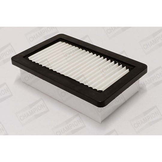 CAF101231P - Air filter 