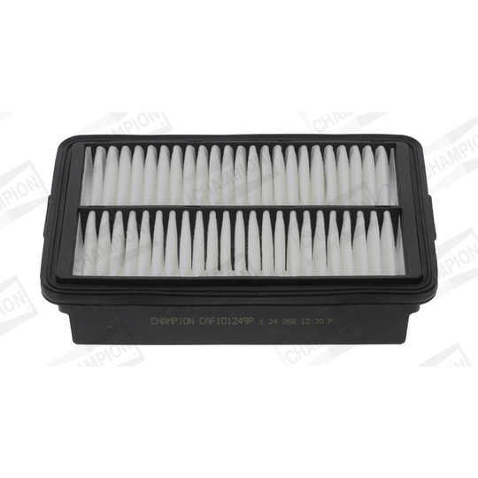 CAF101249P - Air filter 