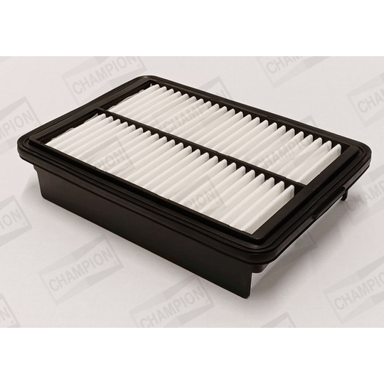 CAF101249P - Air filter 