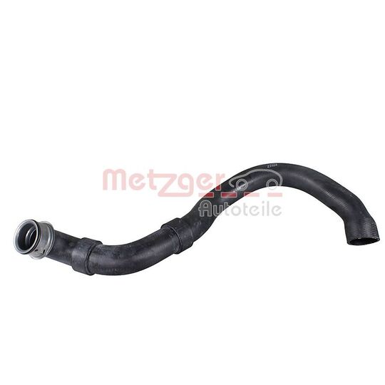 2421853 - Radiator Hose 