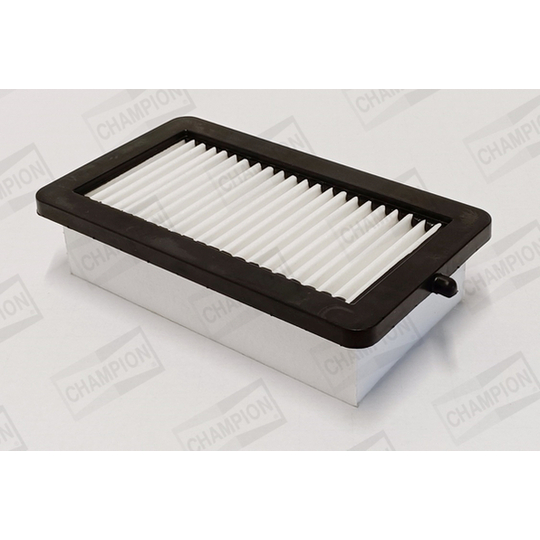 CAF101191P - Air filter 