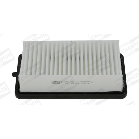 CAF101191P - Air filter 