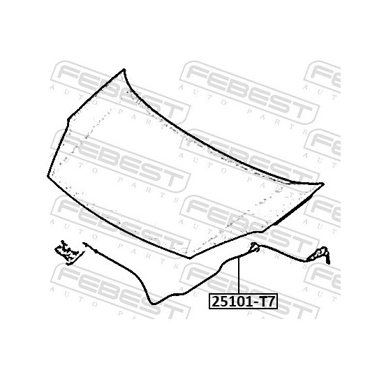 25101-T7 - Bonnet Cable 